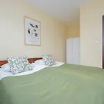 Modern In The Center Of By Renters